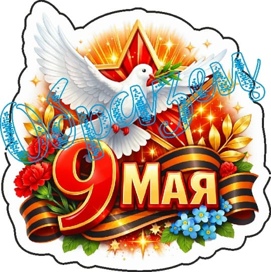 9 мая (145)